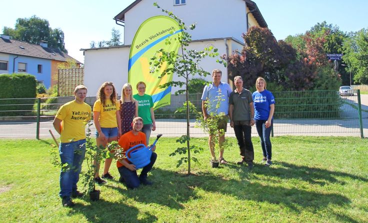 Die Landjugend hilft den Forstwirten.Foto: Bezirkslandjugend Gmunden-Vöcklabruck 