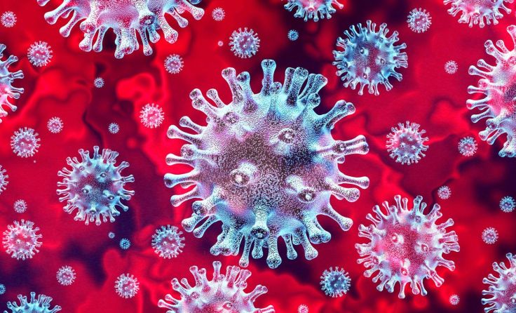 Foto: Lightspring/Shutterstock.com