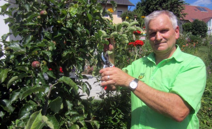 Landesgartenfachberater Willi Frickh schneidet Bäume Foto: Peter Treibenreif
