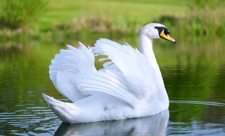 Symbolfoto: Dmitry Abduraimov/Shutterstock.com