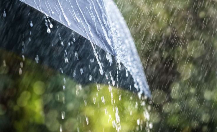 Foto: Brian A Jackson/Shutterstock.com