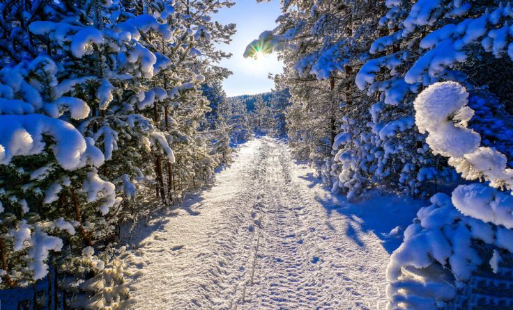  (Foto: Apolinariy/Shutterstock.com)