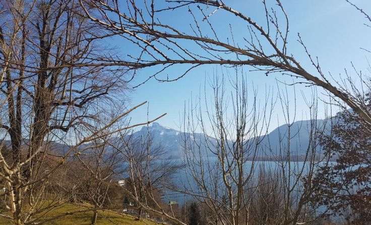 (Foto: Ebner)