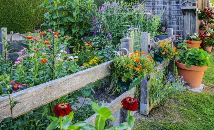 Blumen überwiegen im Garten von Sonja und Matthias Schmeisser. (Foto: Karin Burgstaller)