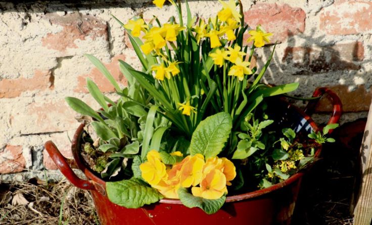 Das Freilichtmuseum Stehrerhof begrüßt den Frühling (Foto: Stehrerhof)