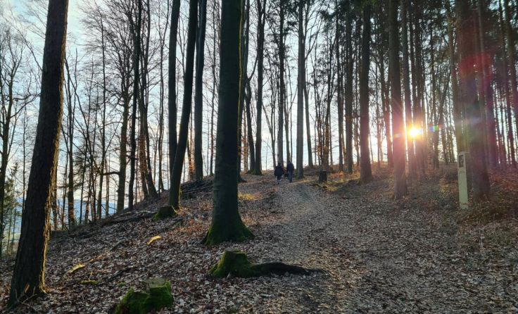 Der Rundweg der Mariannenhöhe ist ein Tipp für Wanderer. (Foto: Stadtgemeinde Attnang-Puchheim)