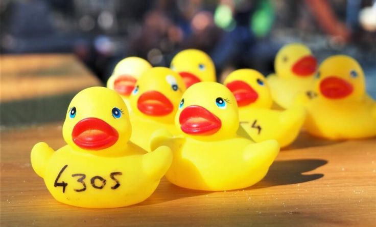  (Foto: SPÖ Vöcklabruck)