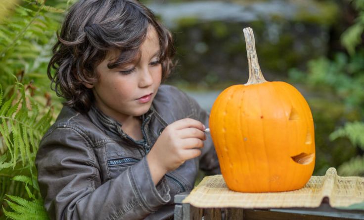 Die lustige Halloween-Nacht steht vor der Tür. (Foto: Guzel - stock.adobe.com)