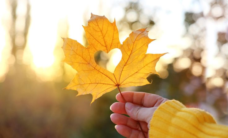  (Foto: kittyfly - stock.adobe.com)