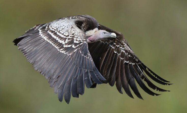  (Foto: Peter Kurz)