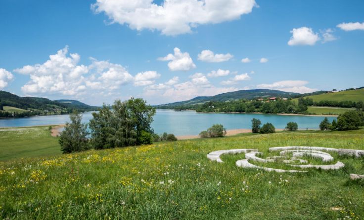  (Foto: Animaflora PicsStock - stock.adobe.com)