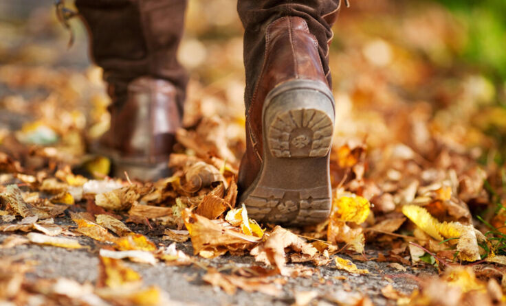  (Foto: contrastwerkstatt - stock.adobe.com)