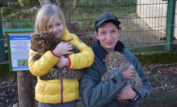 Noch sind die Leoparden süße Katzerl. Foto: Herbert Stoschek