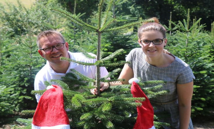 Es weihnachtet sehr: Christian Haberhauer und Maria Ettlinger Foto: Amstetten Marketing
