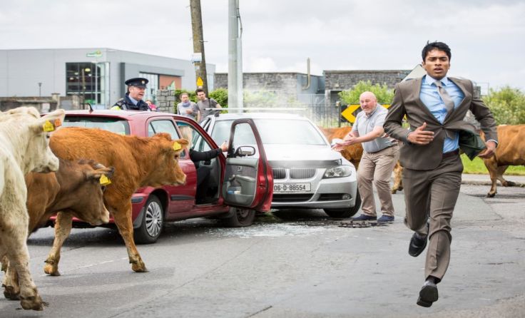Ein Halal-Schlachthof in Irland. Das sorgt für Wirbel. Foto: Luna Filmverleih