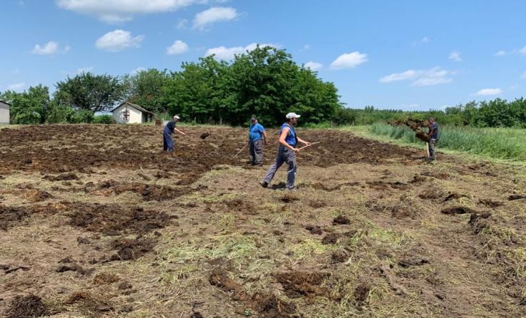 Das landwirtschaftliche Projekt in Csepa/Ungarn Foto: Arbeitskreis Albanienhilfe Ardagger