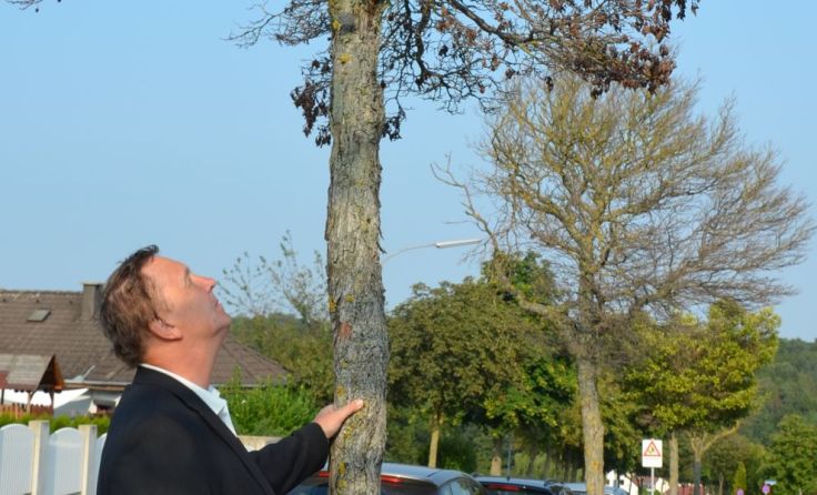 Franz Raab bei einem abgestorbenen Baum in der Parksiedlung Foto: mott
