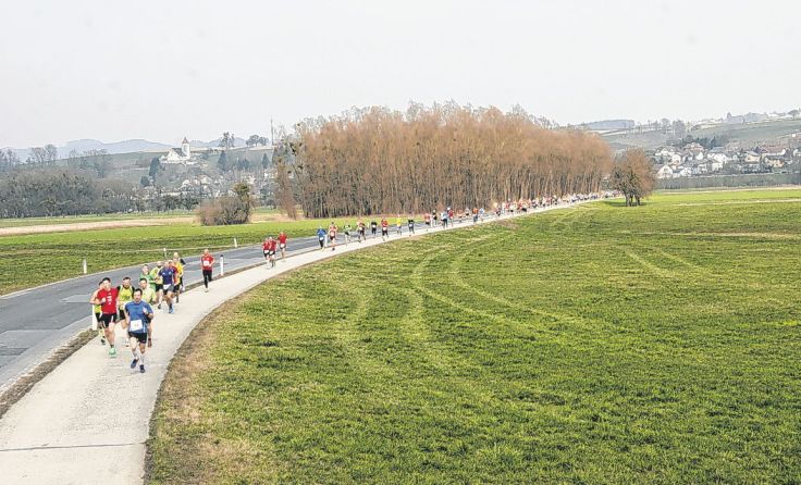 Der Donau-Au-Halbmarathon wird bereits zum 16. Mal veranstaltet. Foto: ULC Ardagger