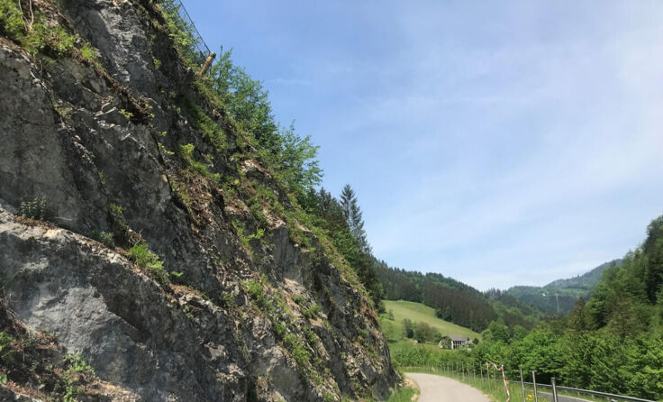 Das betroffene Teilstück (Foto: Gudrun Hofbauer)