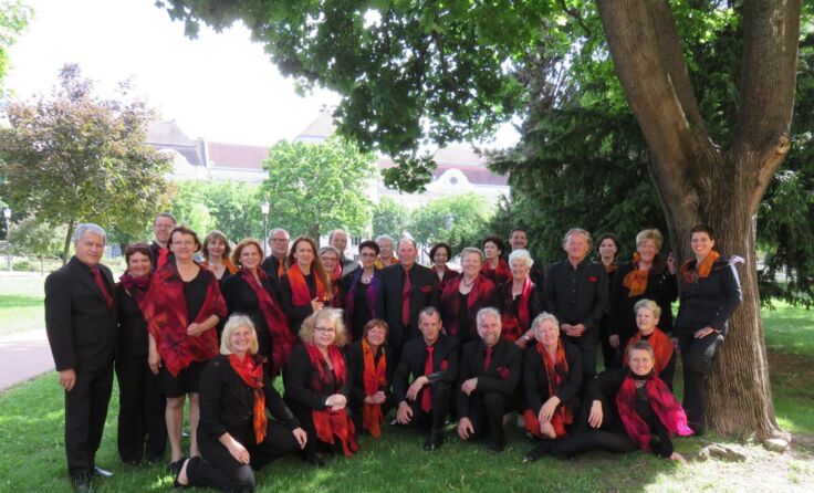 Der Chor Amstetten Vokal (Foto: Amstetten Vokal)
