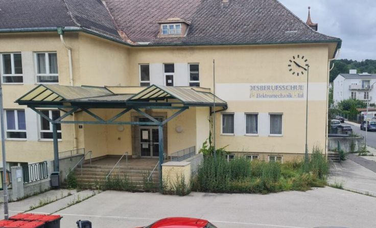 Vor der ehemaligen Berufschule wuchern Pflanzen. (Foto: privat)