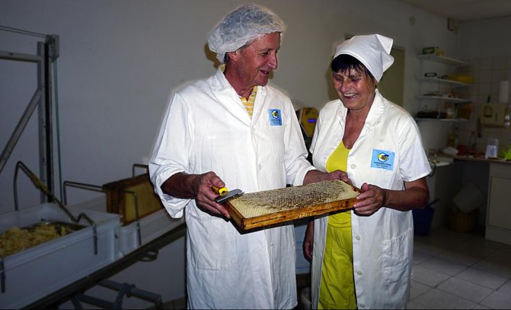 Peter und Silvia Spreitzer mit einer Wabe (Foto: mott)