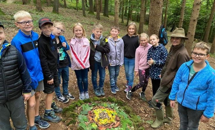 Im Wald (Foto: VS Wallsee)
