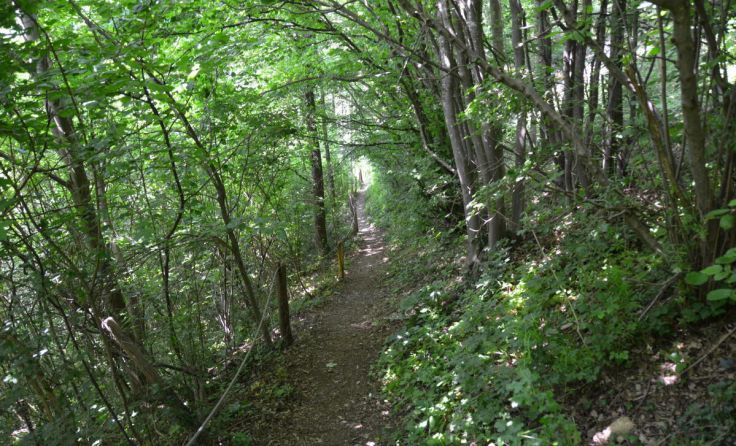 Der Gaisberger- & Kollerweg (Foto: mott)