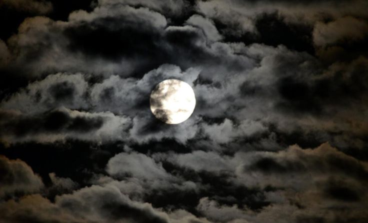 (Foto: mott)