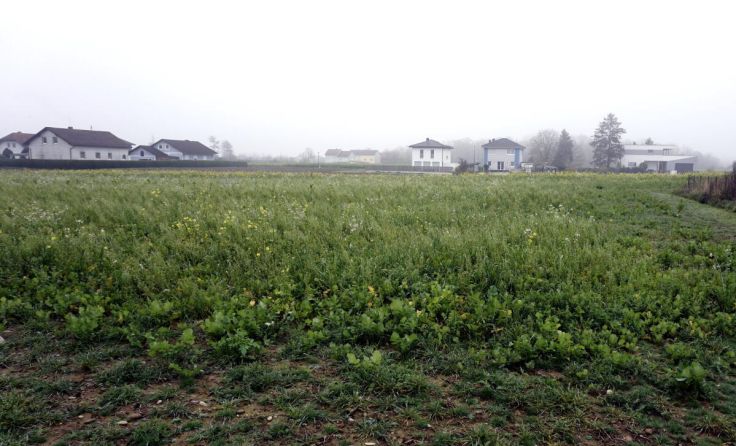 Grundstück und Anrainer (Foto: mott)