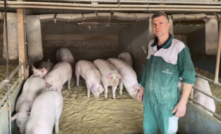 Reinhard Obermayr in seinem Tierwohlstall in Kematen/Krems (Foto: OÖ Bauernbund)