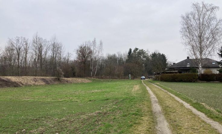 Ein Bereich, der durch den Damm geschützt wird (Foto: Gemeinde Ennsdorf)