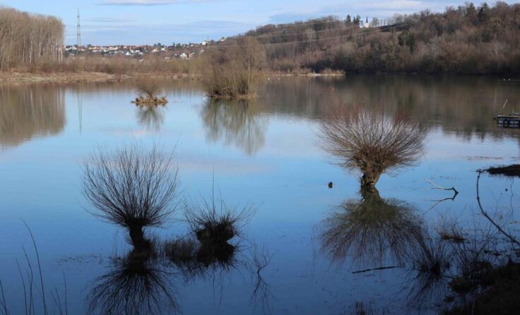 Der Donau-Altarm (Foto: W. Horner)