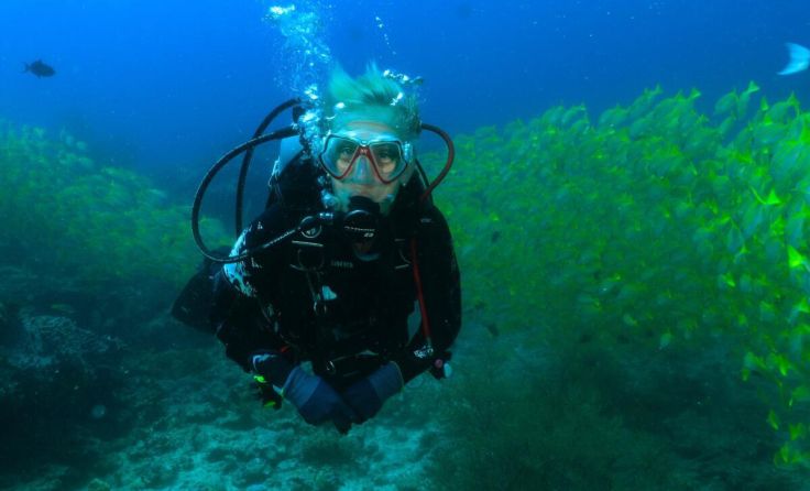 Heike Stadler, umringt von Schwarmfischen (Foto: Sharktime)