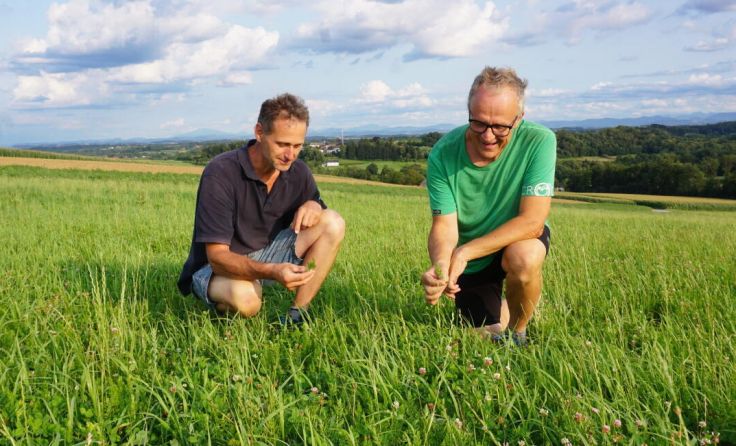 Christian Skohautil und Johann Dornmayr, vulgo Wosa Hans, im Kümmelfeld (Foto: mott)