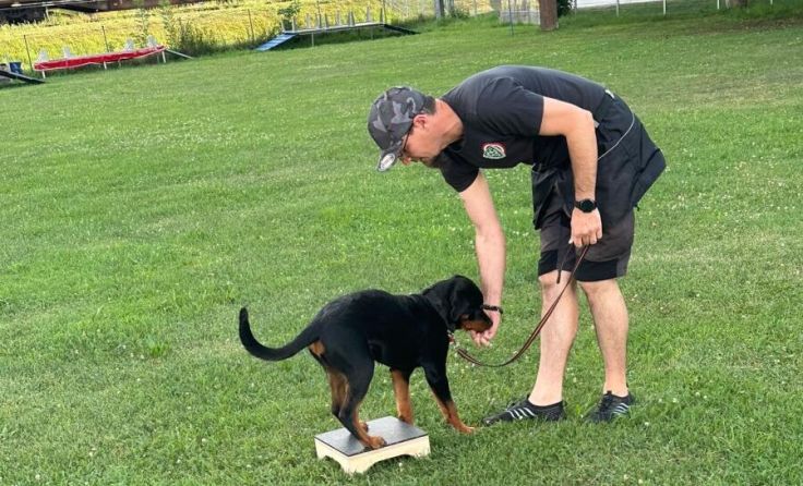 Die Hundeschule befindet sich in der Fabrikstraße 7a in Enns (Foto: privat)