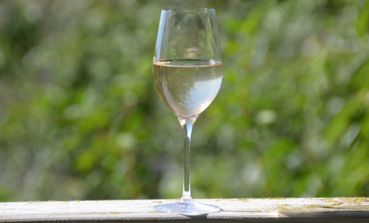 Weinfest in Ernsthofen (Foto: mott)
