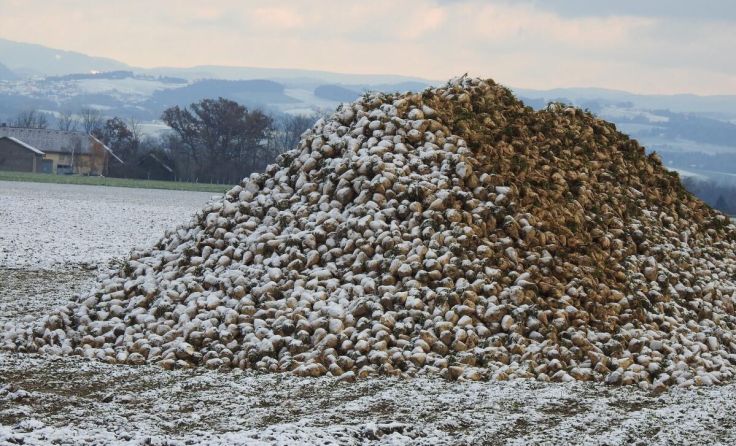  (Foto: Florian Mayr)