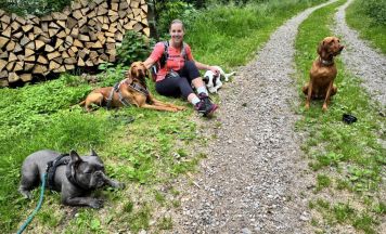 Wuff Day Messe: Ein Festtag für alle Hunde in der Stadthalle Enns