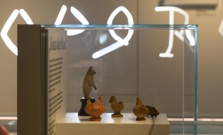 Safari im Museum Lauriacum (Foto: Wolfgang Simlinger)