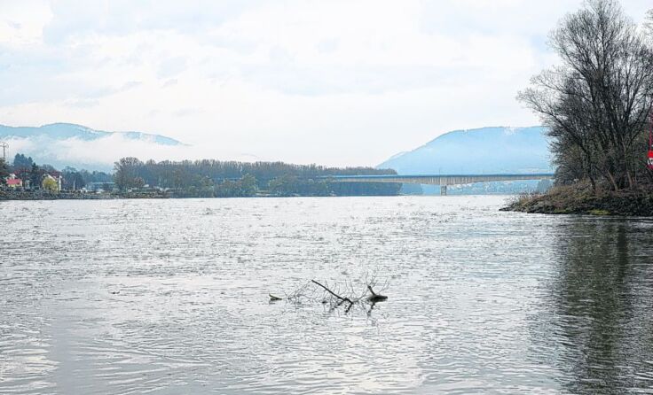 Eine Studie beweist: Die Wasserqualität der Donau ist schlecht wie selten zuvor. 