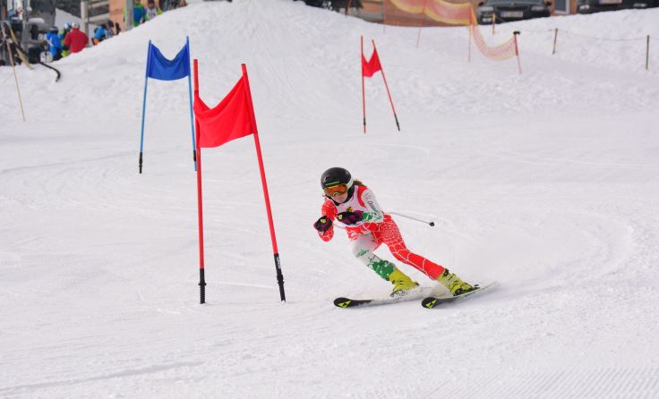 Foto: Herbert Denkmayr