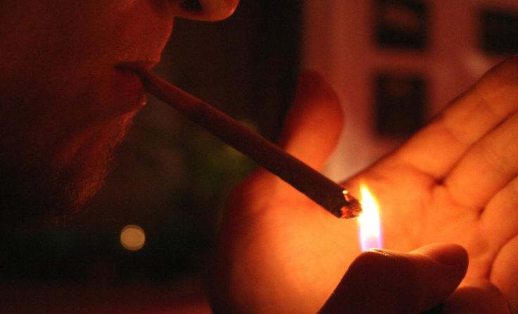 Insgesamt 29 Kilogramm Marihuana wurden in Wien besorgt und nach Linz gebracht. Symbolfoto: Wodicka