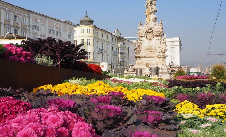 14.500 Herbstblumen lassen Linz nochmals erblühen.