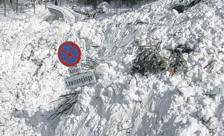Lawine übersprang Laussabach und fuhr Gegenhang hoch. Foto: WLV 2006