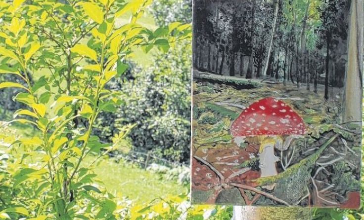 Ungewohnte Symbiose: Wald und Kunst Foto: Birgit Aigner 
