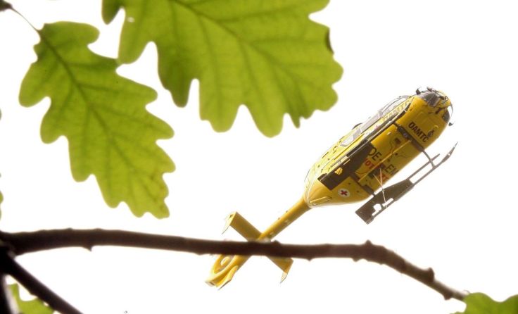 Symbolfoto: Weihbold
