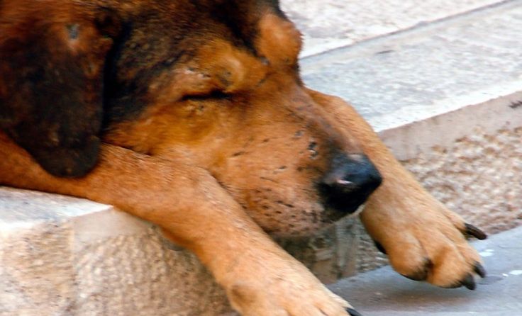 SYMBOLFOTO: Wodicka