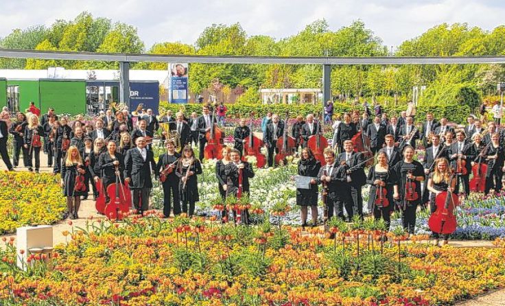 Das Waidhofner Kammerorchester spielt fulminant den Lenz herbei. Foto: Günter Edelmayer