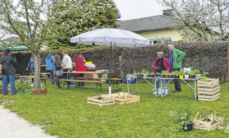 In Waldneukirchen (Bild) und Dietach wartet wieder allerhand für bunte Beete. 